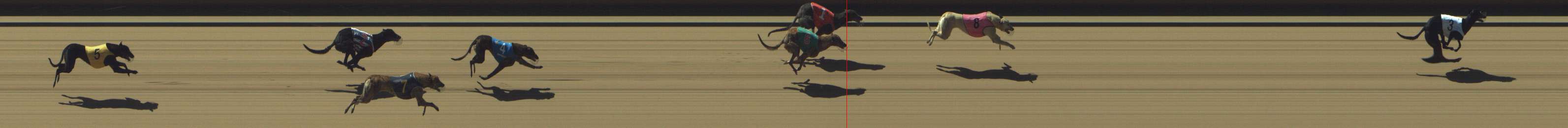 Photo finish for Shepparton Race 1