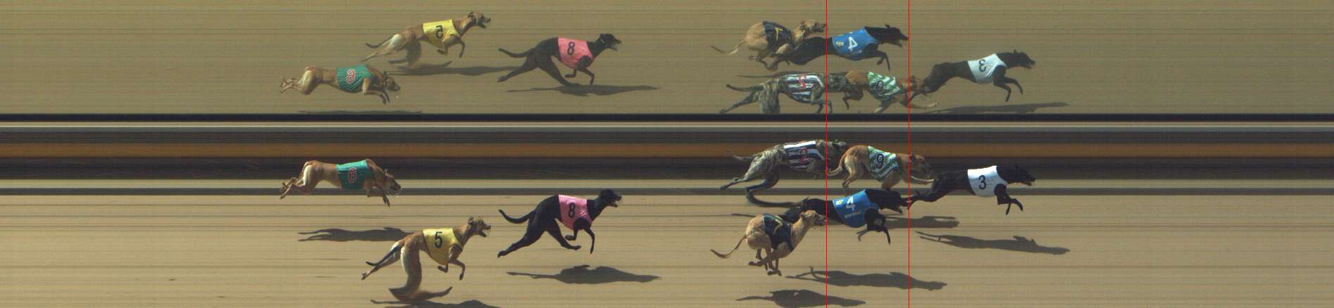 Photo finish for Shepparton Race 2