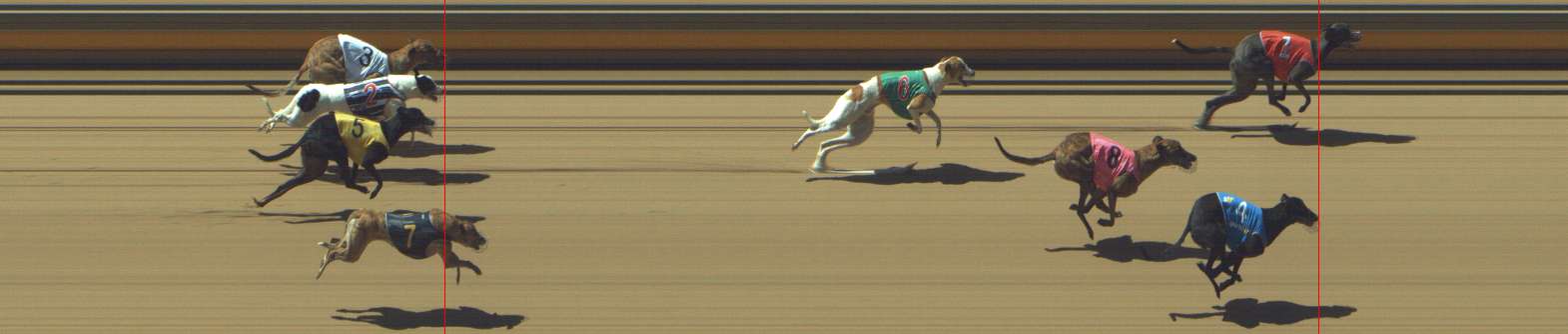 Photo finish for Shepparton Race 5
