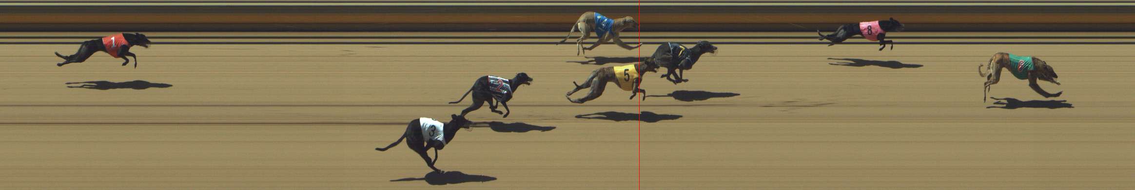 Photo finish for Shepparton Race 6