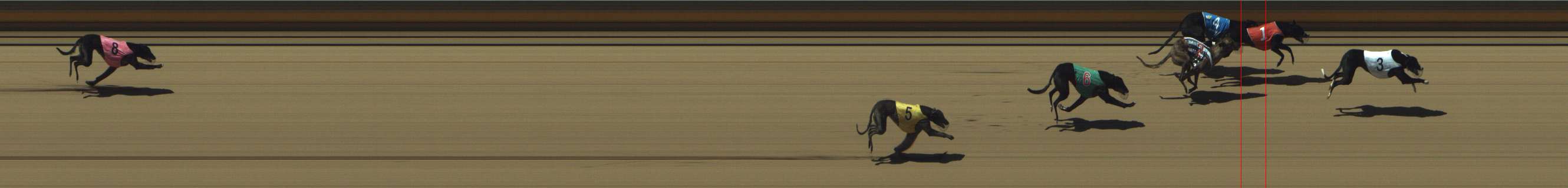 Photo finish for Shepparton Race 7