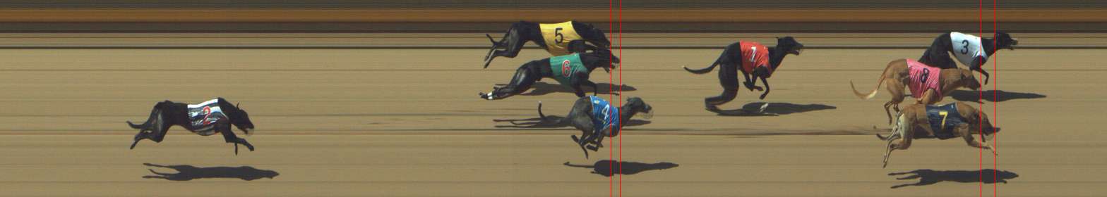 Photo finish for Shepparton Race 8
