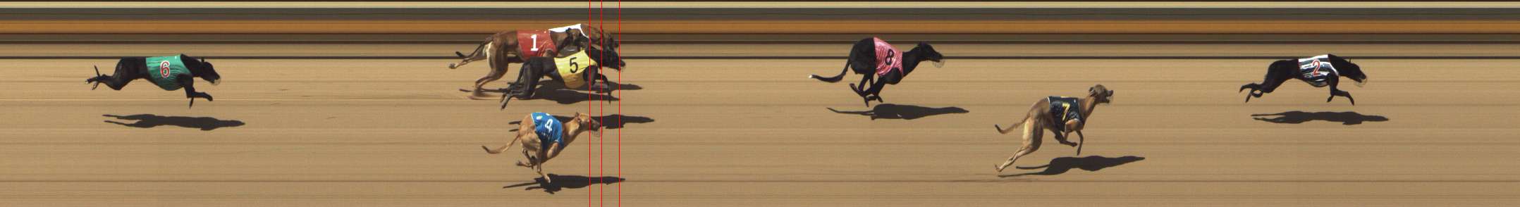 Photo finish for Shepparton Race 9