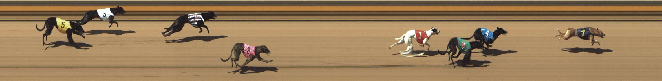 Photo finish for Shepparton Race 10