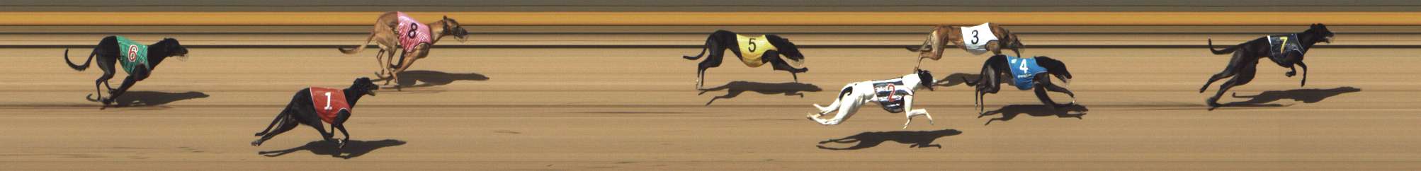 Photo finish for Shepparton Race 11