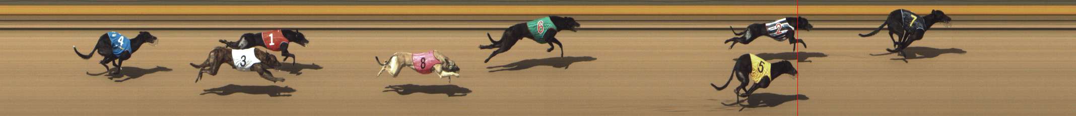 Photo finish for Shepparton Race 12
