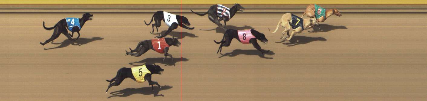 Photo finish for Shepparton Race 13