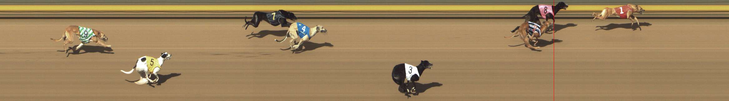 Photo finish for Shepparton Race 14