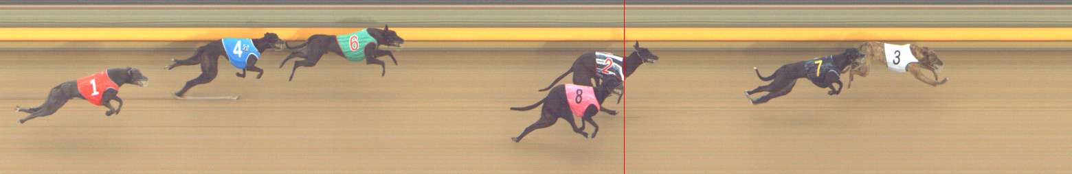 Photo finish for Shepparton Race 1