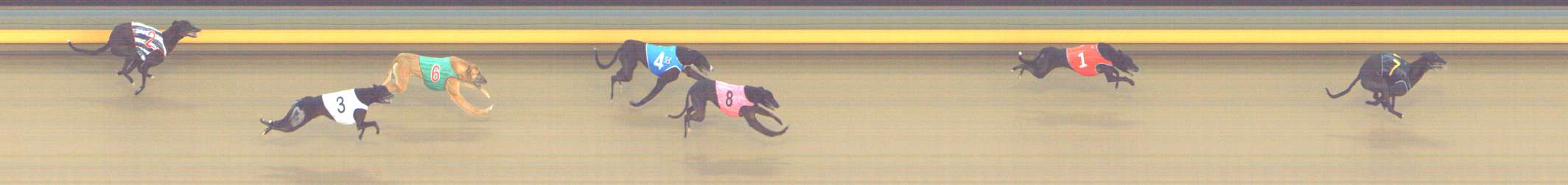 Photo finish for Shepparton Race 4
