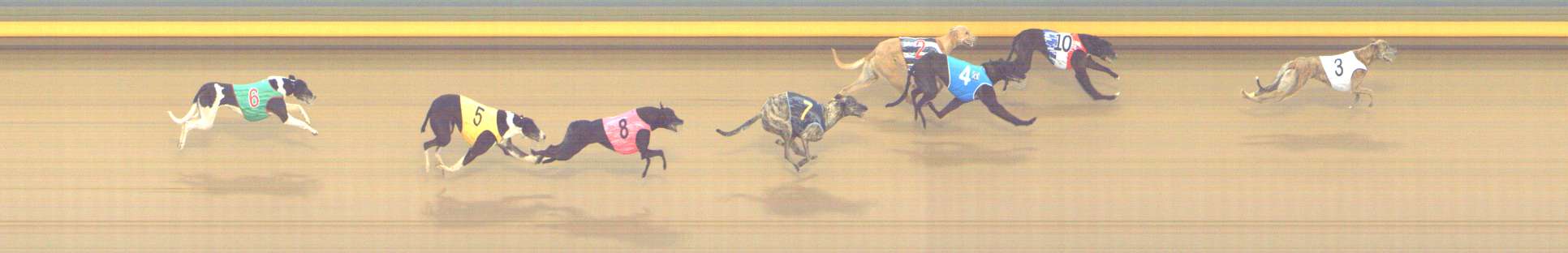 Photo finish for Shepparton Race 5