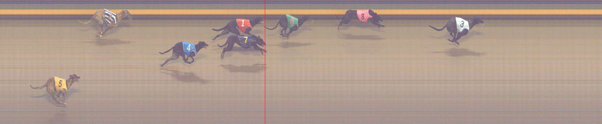 Photo finish for Shepparton Race 6