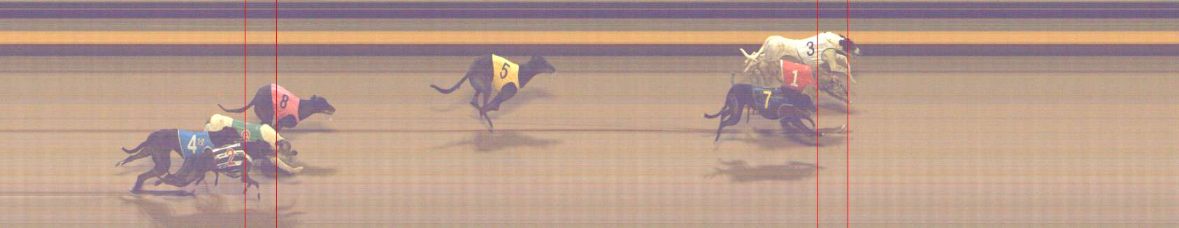 Photo finish for Shepparton Race 7