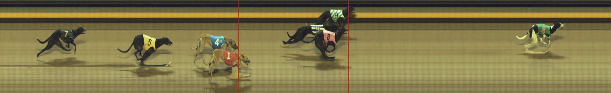 Photo finish for Shepparton Race 8