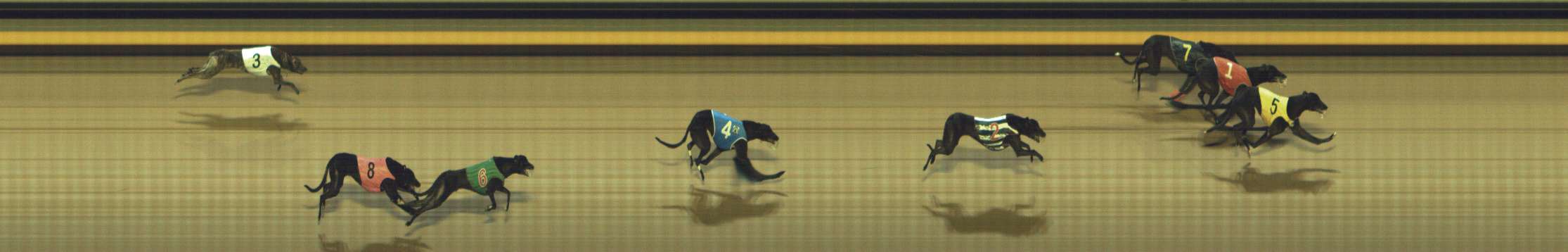 Photo finish for Shepparton Race 9