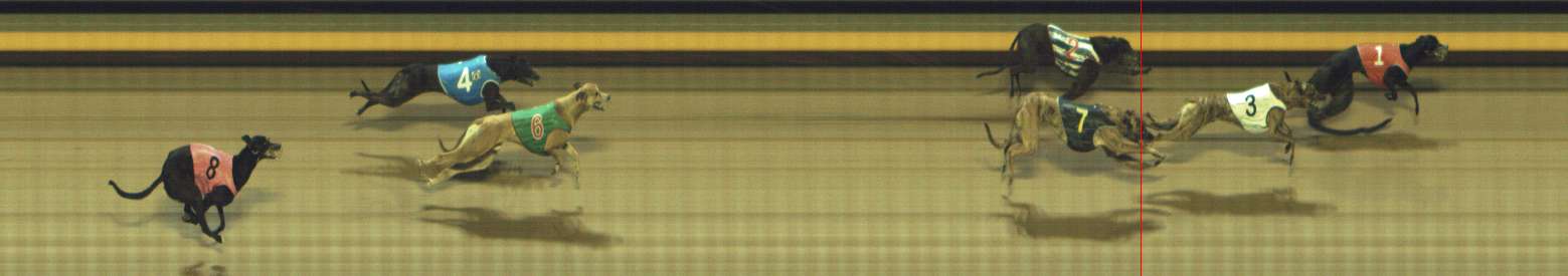 Photo finish for Shepparton Race 10