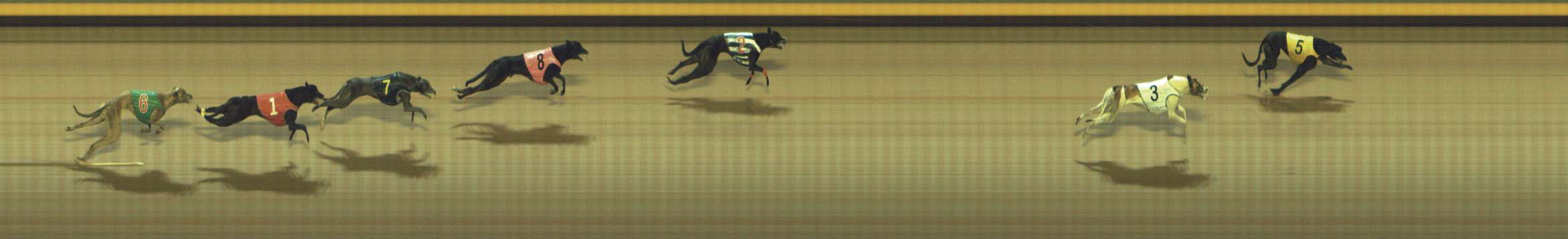 Photo finish for Shepparton Race 12