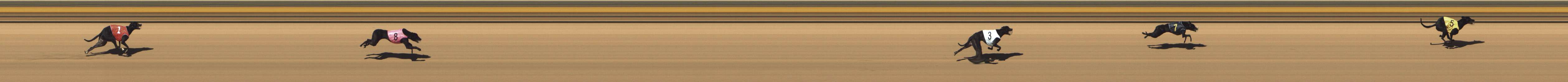 Photo finish for Shepparton Race 1