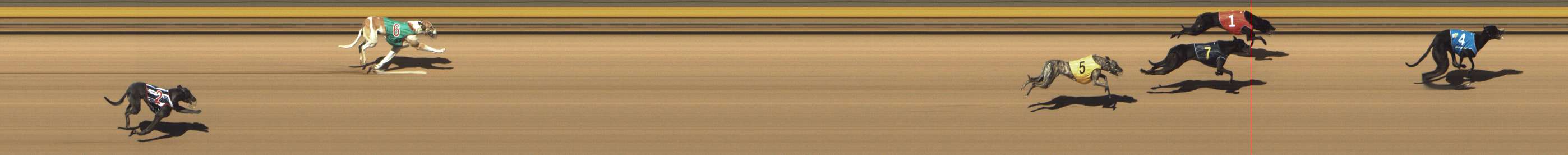 Photo finish for Shepparton Race 2