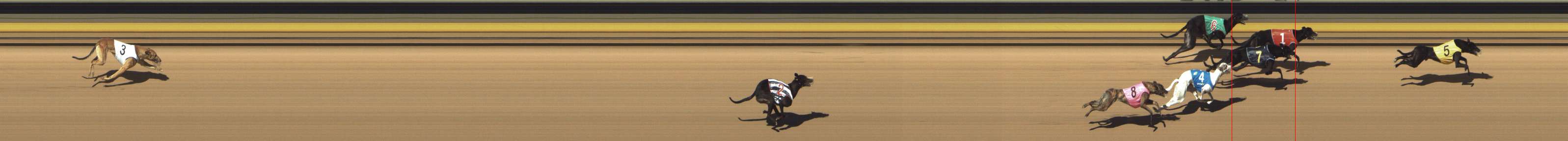 Photo finish for Shepparton Race 3