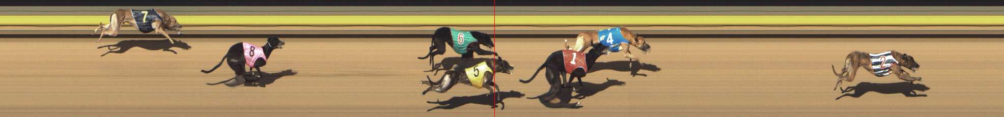 Photo finish for Shepparton Race 4