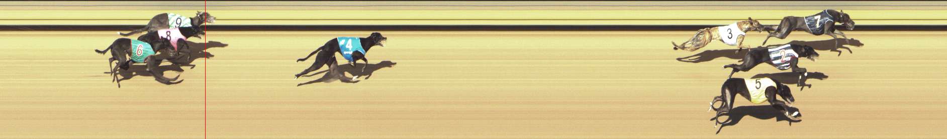 Photo finish for Shepparton Race 5