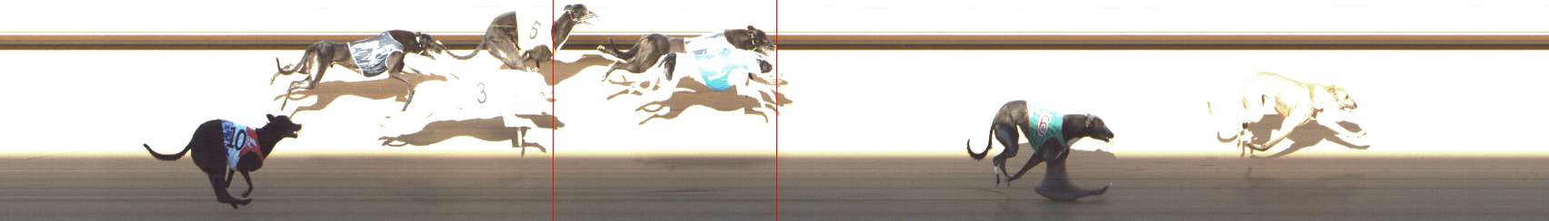 Photo finish for Shepparton Race 6