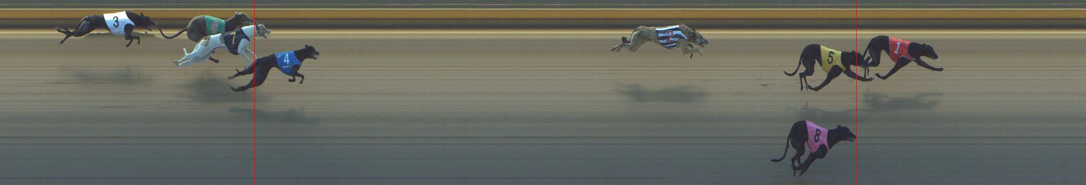 Photo finish for Shepparton Race 7