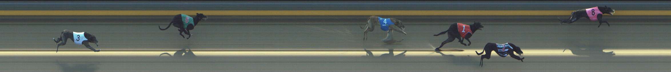 Photo finish for Shepparton Race 8