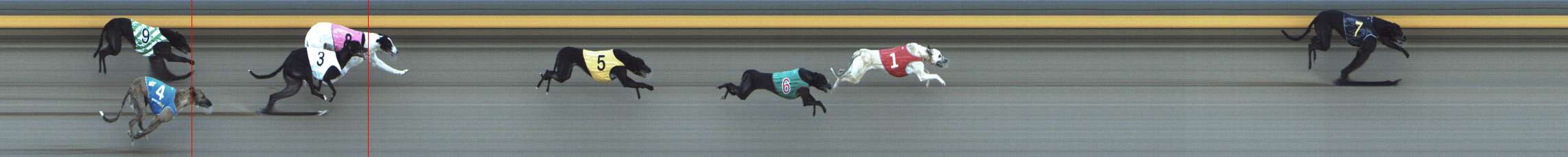 Photo finish for Shepparton Race 9
