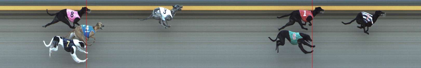 Photo finish for Shepparton Race 10