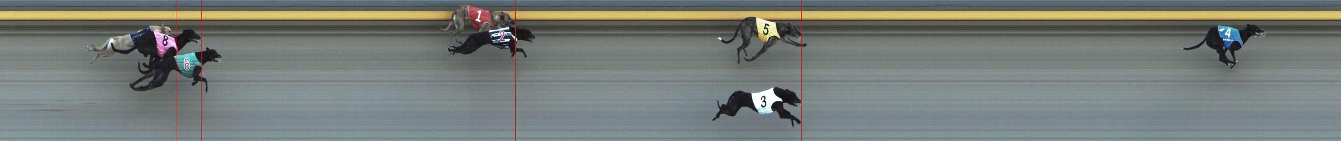 Photo finish for Shepparton Race 11