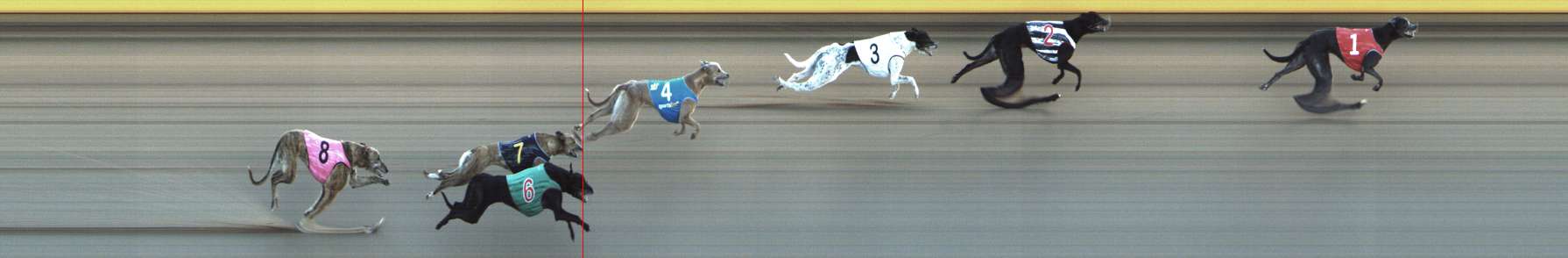Photo finish for Shepparton Race 12