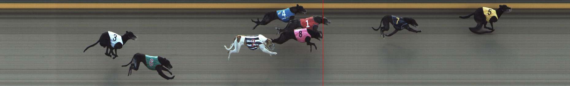 Photo finish for Shepparton Race 14