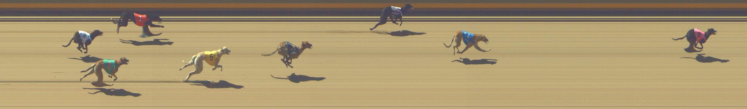 Photo finish for Shepparton Race 1