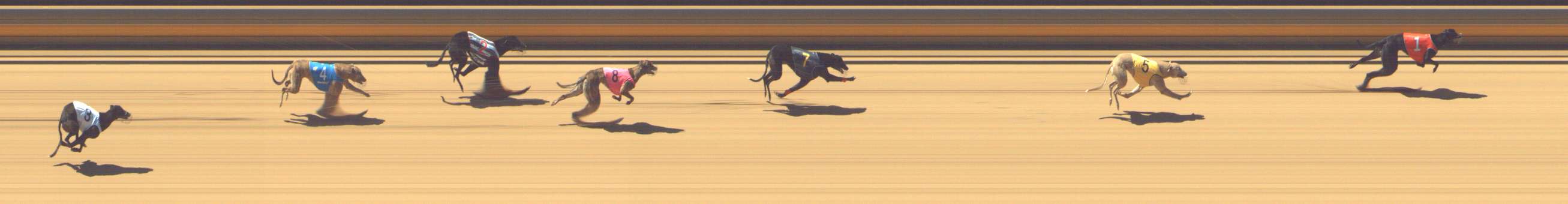 Photo finish for Shepparton Race 3