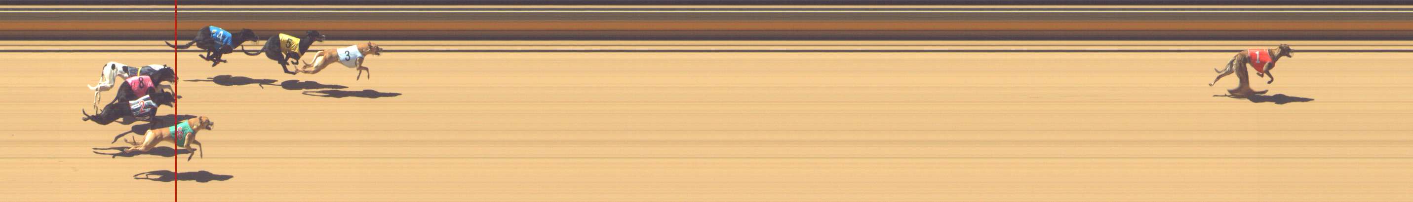 Photo finish for Shepparton Race 4