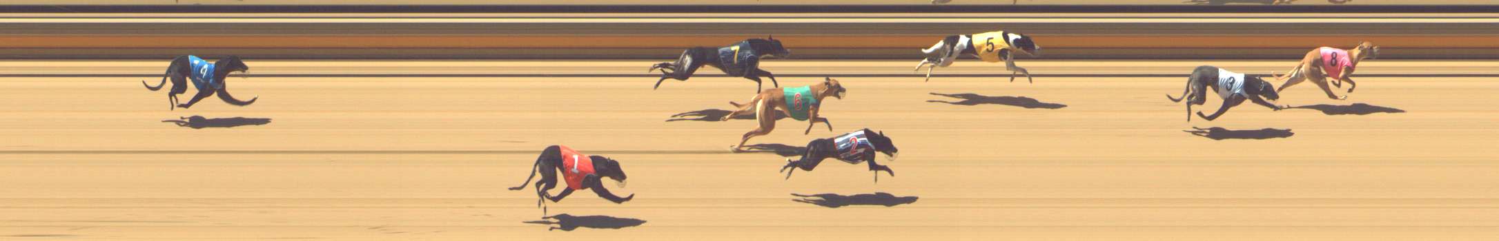 Photo finish for Shepparton Race 5