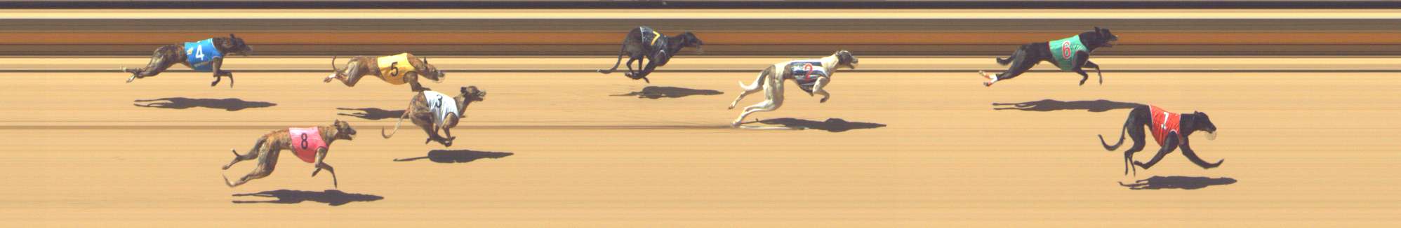 Photo finish for Shepparton Race 6