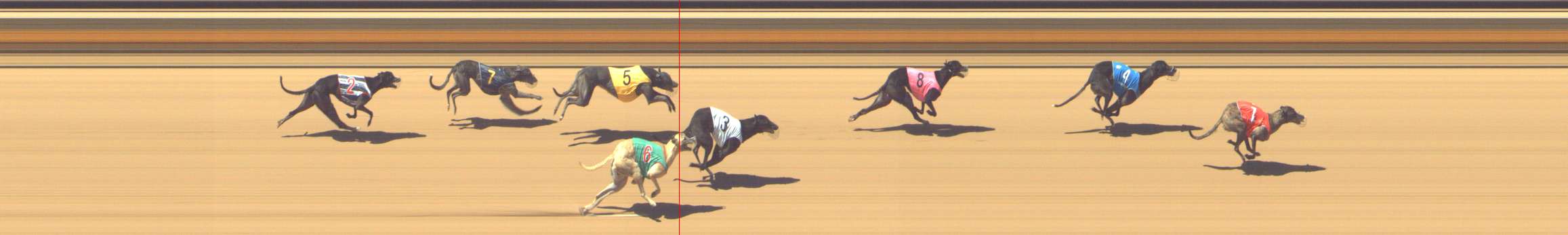 Photo finish for Shepparton Race 7