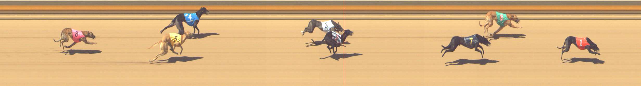 Photo finish for Shepparton Race 8