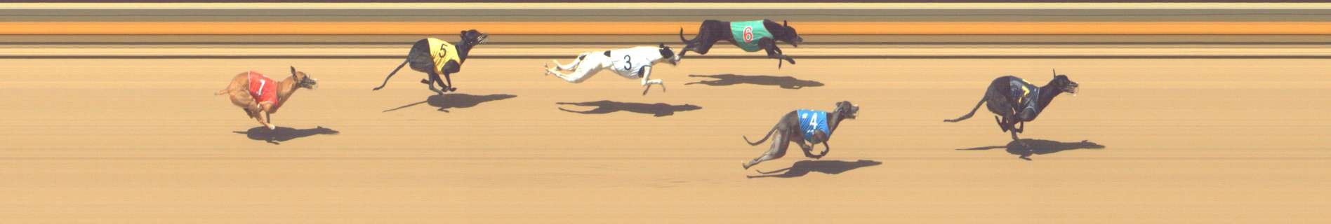 Photo finish for Shepparton Race 9