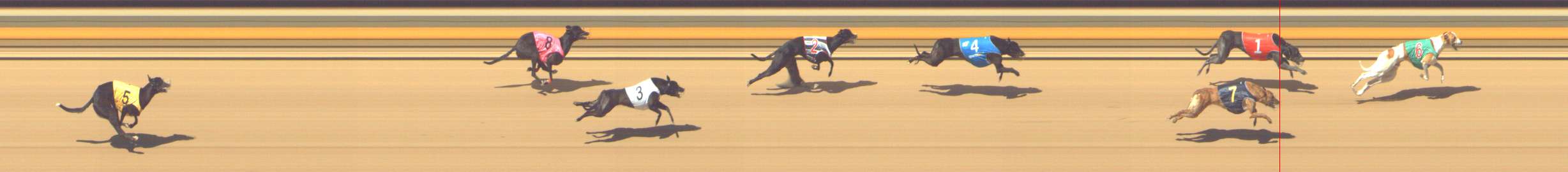 Photo finish for Shepparton Race 10