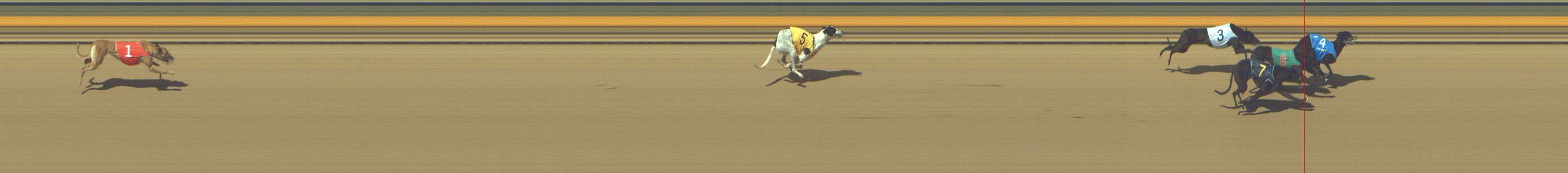 Photo finish for Shepparton Race 11