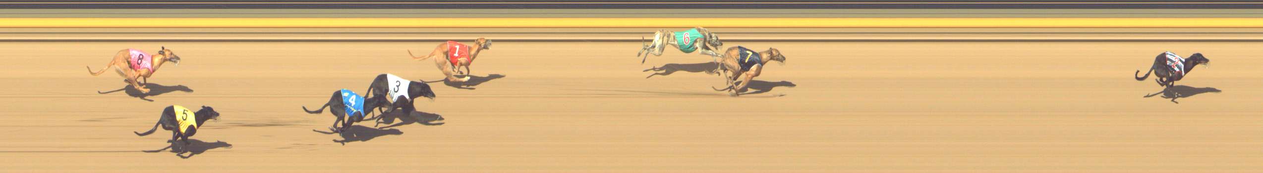 Photo finish for Shepparton Race 12