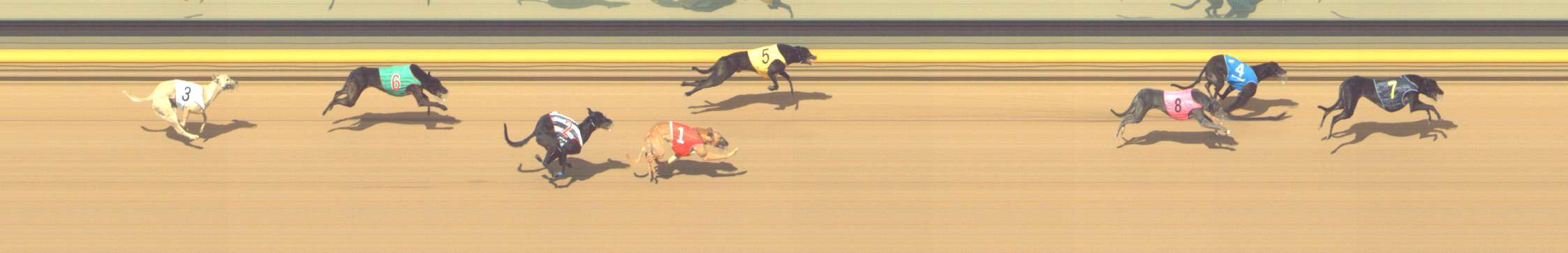 Photo finish for Shepparton Race 13