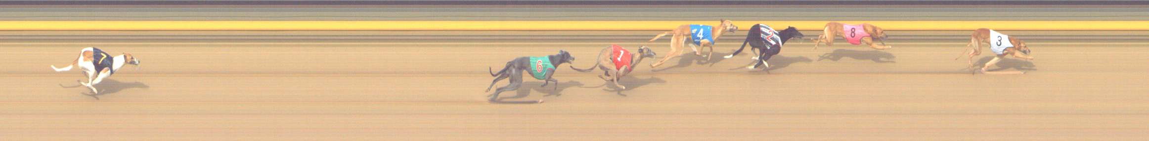 Photo finish for Shepparton Race 14
