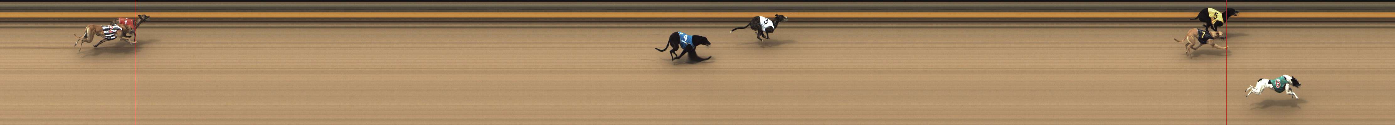 Photo finish for Shepparton Race 1