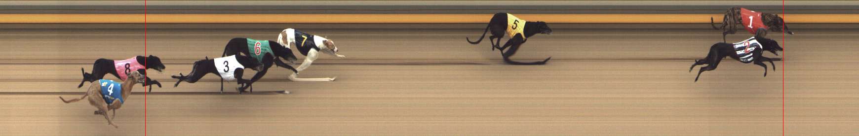 Photo finish for Shepparton Race 2