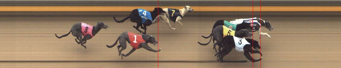 Photo finish for Shepparton Race 4